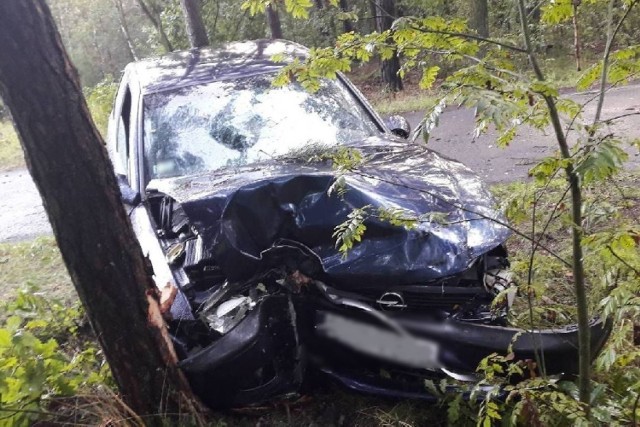 Mieszkaniec gminy Skępe złamał orzeczony wobec niego zakaz prowadzenia pojazdów. Ponadto wsiadł za kółko po pijaku i na łuku drogi uderzył w drzewo.