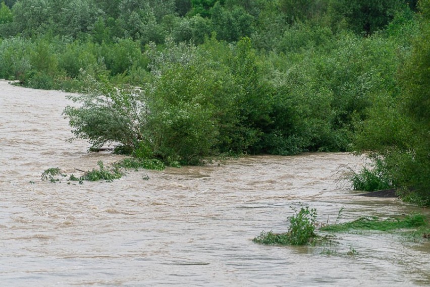 Nowy Sącz. Rzeka Kamienica i potok  Łubinka w normie, tylko w Dunajcu przybywa wody [ZDJĘCIA]