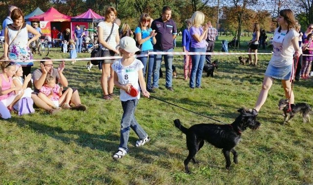 Animaliówka - psi festyn nad Rusałką w Poznaniu.