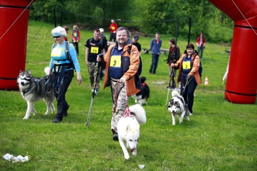 Jelenia Góra: W Przesiece odbyła się trzecia edycja Pucharu Polski w Dogtrekkingu