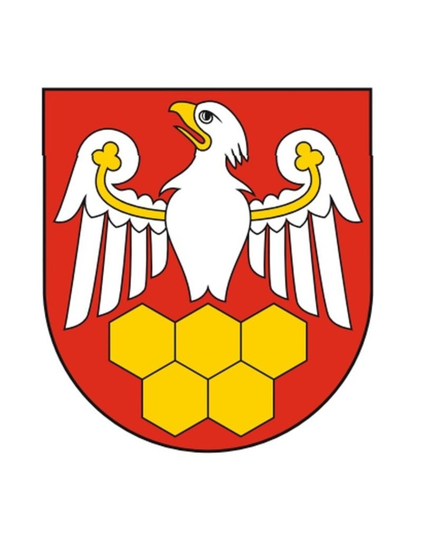 Powiat ostrołęcki ma flagę i herb. Rada powiatu przyjęła stosowną uchwałę