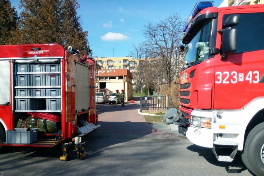 Strażacy ewakuowali prawie setkę dzieci i pracowników ze społecznej szkoły podstawowej w Rzeszowie [ZDJĘCIA]