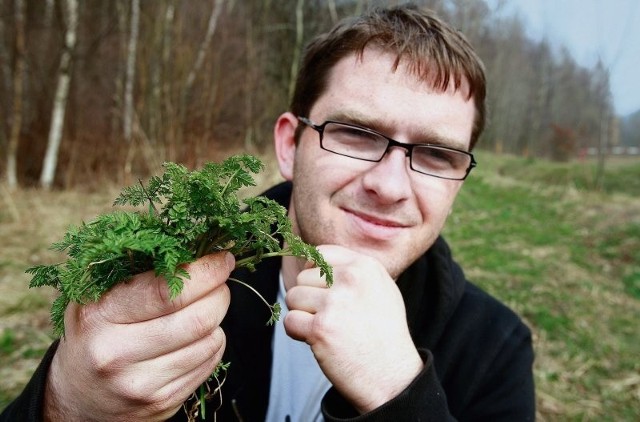 - Bodziszek cuchnący ma taką nazwę ze względu na charakterystyczny zapach - mówi Piotr Wasiak z plantacji chwastów