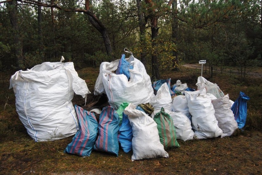 Sprzątanie dzikiego wysypiska w Nowym Janowie w powiecie...