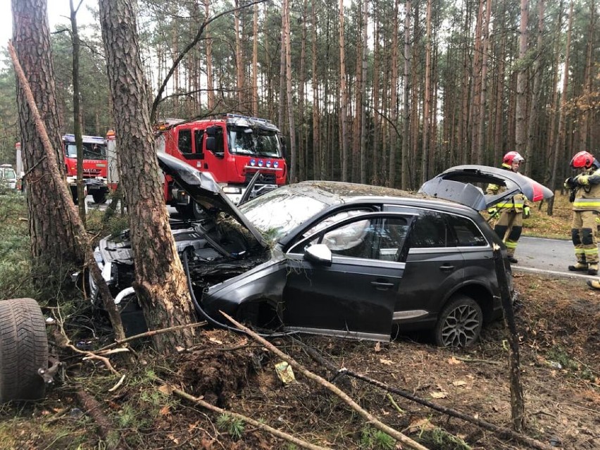 Trwa policyjna obława za sprawcą śmiertelnego potrącenia koło Polkowic. W użyciu są drony i psy tropiące