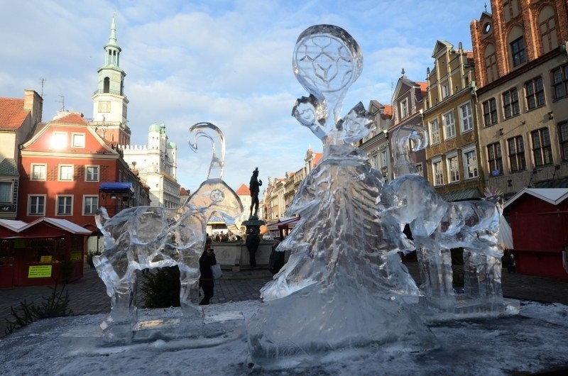 Rzeźby lodowe już niedługo postoją na Starym Rynku.