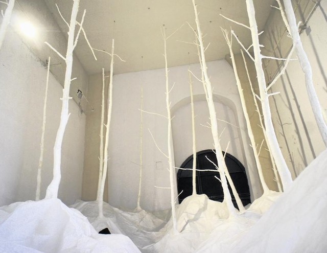 Instalacja "Forest from the forest" (pol. "las z lasu") autorstwa Japończyka Takashiego Kuribayashi, pokazywana w  ramach Biennale w Galerii U Jezuitów.
