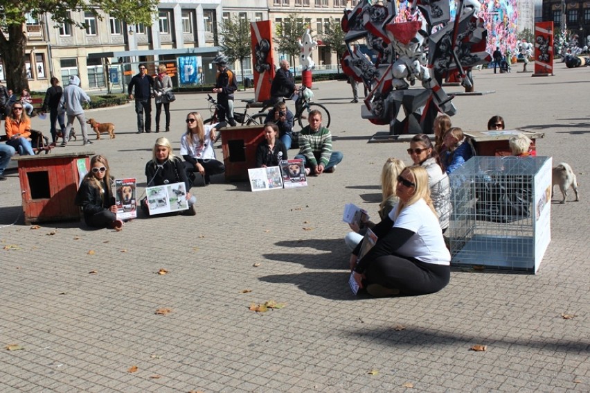 Akcja "Zerwijmy łańcuchy!" w Poznaniu