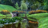 Brzeg na wyjątkowych fotografiach Jana Androsa. Te ujęcia robią ogromne wrażenie! 