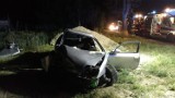 Groźny wypadek drogowy w Brzozówce na drodze wojewódzkiej 515 [ZDJĘCIA]