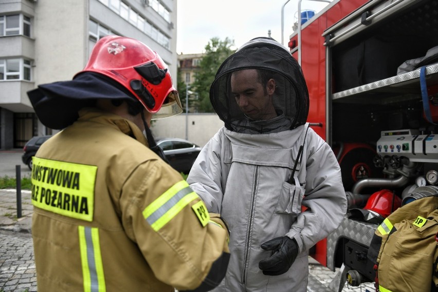 Zdjęcia z akcji strażaków z Damasławka w galerii