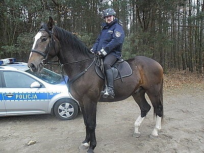 Blue Baker jest najnowszym koniem w konnej drużynie policyjnej w Częstochowie.