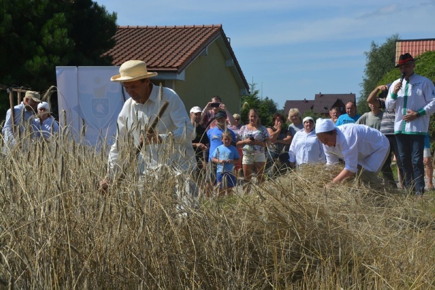 To nie była lekka praca... Jak dawniej wyglądało koszenie zboża? Możesz przekonać się w Piechowicach