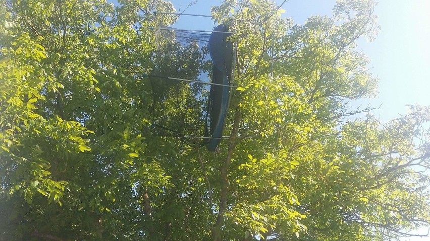 Rzeczenica. Strażacy z Rzeczenicy ściągali trampolinę, która wylądowała na drzewie