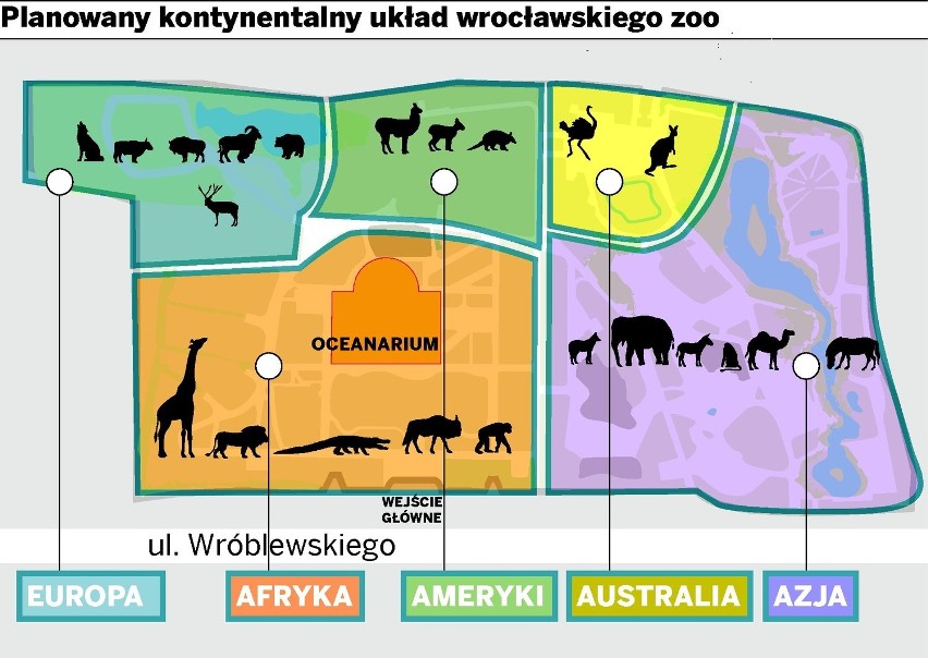Wrocław: Zoo podzielą na kontynenty świata