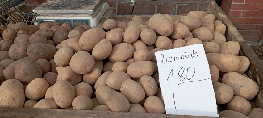 Najtańsze ziemniaki kosztowały 1,80 złotych