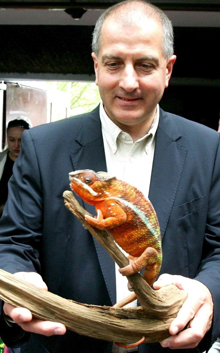 10 lat temu Rafał Dutkiewicz został prezydentem Wrocławia (GALERIA ZDJĘĆ, GŁOSOWANIE)