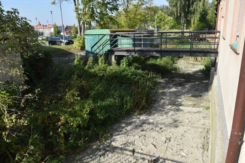 Sucho w Kanale Juranda w Malborku