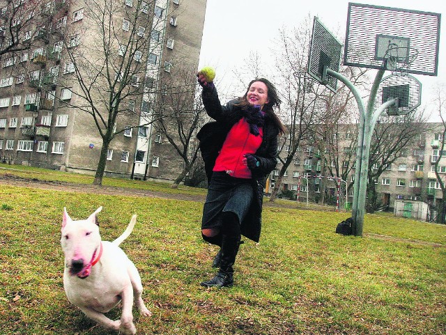 Wprowadzając opłaty od psów, może warto zachęcić właścicieli do znakowania zwierząt i nagradzać to ulgami