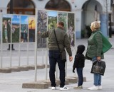 Wyjątkowa wystawa stanęła na Głównym Rynku. W sobotę spotkanie z autorem 