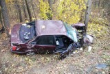 Serniki Kolonia: Audi w drzewo, dwie osoby ranne ZDJĘCIA