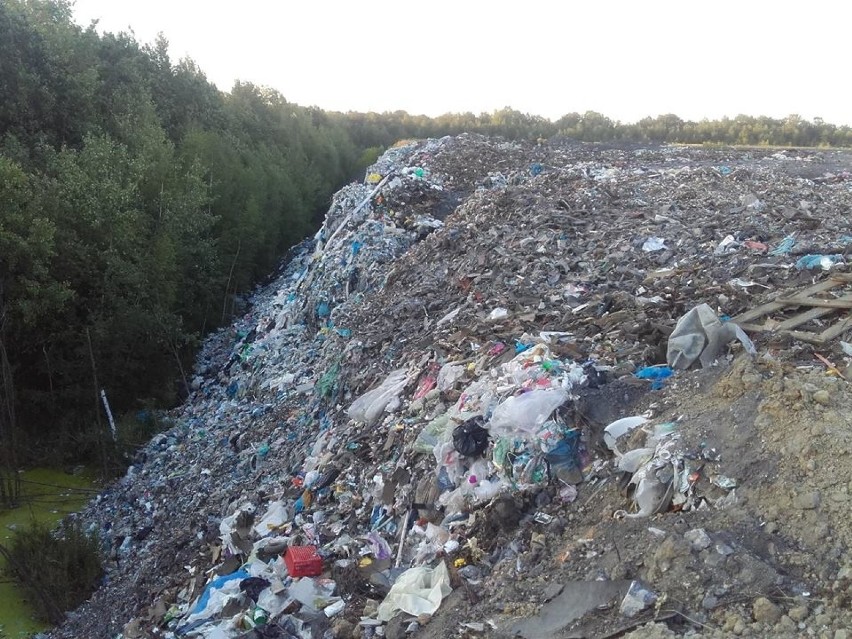 Nielegalne wysypisko śmieci na terenie kopalni Miechowice w...