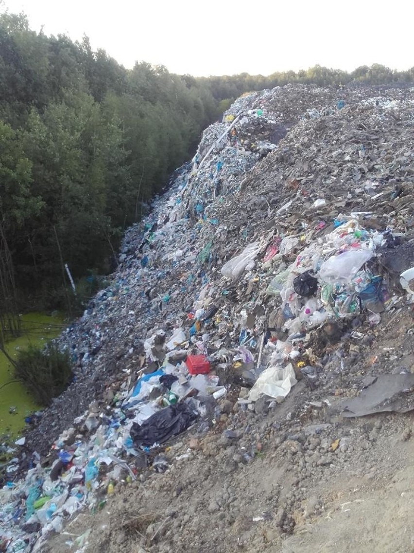 Nielegalne wysypisko śmieci na terenie kopalni Miechowice w...