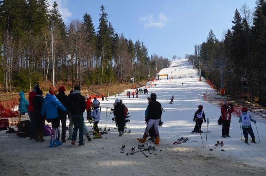 Alpejskie Mistrzostwa Powiatu Żywieckiego 2014