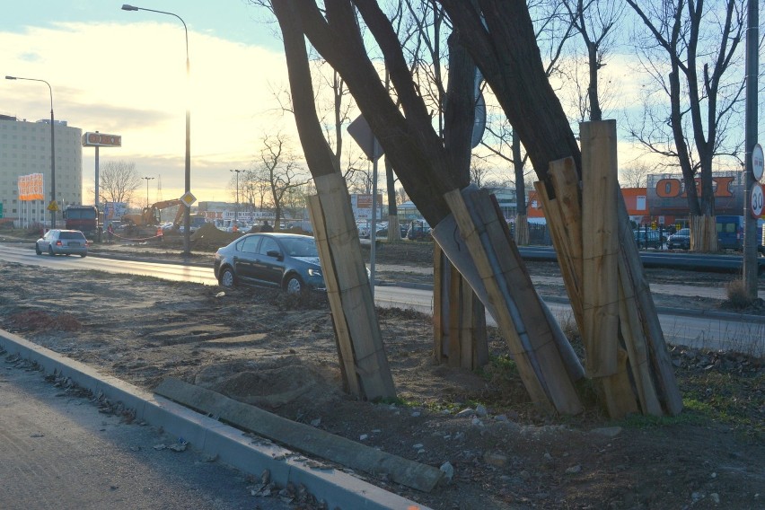 Wycieli drzewa przy ulicy Zagnańskiej w Kielcach i na tym nie koniec (ZDJĘCIA)