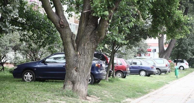 Spółdzielnia zrobiła parking na trawniku [ZDJĘCIA]