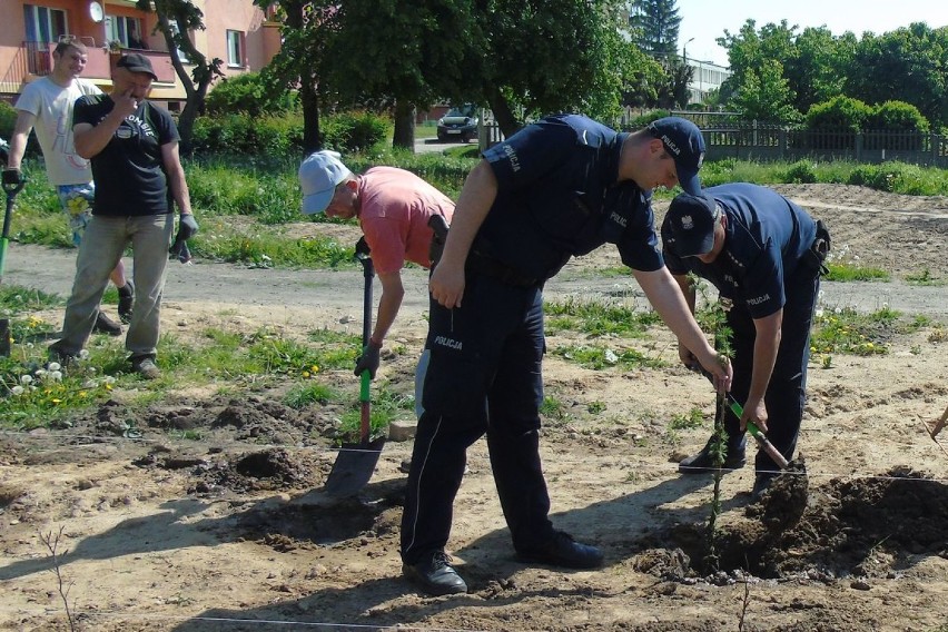 Przy Domu Kultury Żak w Dobrzyniu odbyło się uroczyste sadzenie drzewek dla upamiętnienia 100-lecia niepodległości