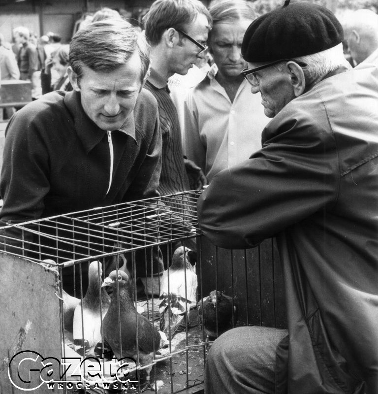 WROCŁAW 18.06.1978.
W NIEDZIELE HANDLUJE SIĘ ZWIERZĘTAMI.