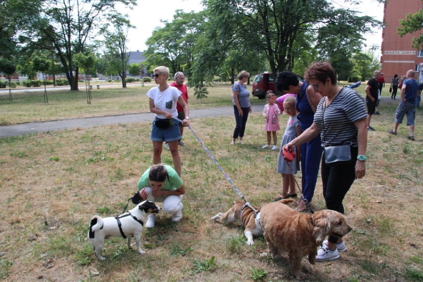 W sobotę 6 lipca wybieg dla psów "Aubuś" wypełnił się po raz...