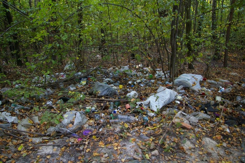 Bezmyślni ludzie wyrzucają śmieci w lesie pod Krzczonowem