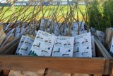 Zielona akcja Sadzonka za surowce wtórne 17 maja w Zawierciu 