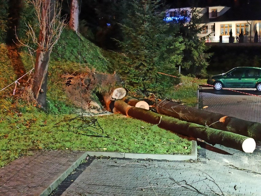 Grybów. Drzewo zmiażdżyło audi na parkingu. Zdjęcia pokazują skalę zniszczeń 