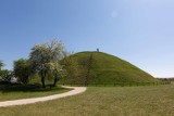 Kraków. Wiosna przystroiła miasto kolorami. Rozkwitły drzewa i krzewy. Mieszkańcy muszą jednak jeszcze pozostać w domach [ZDJĘCIA]