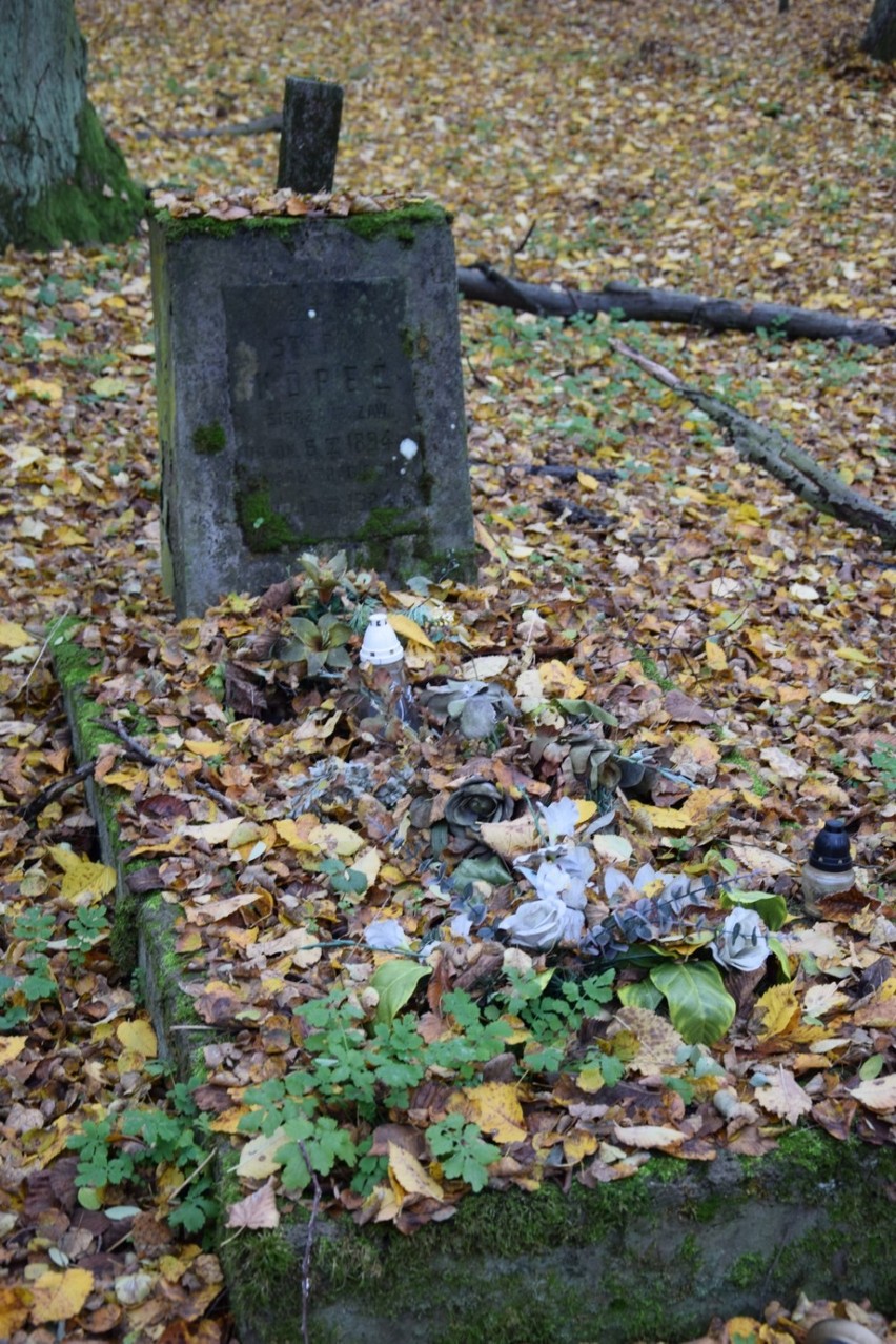 Święto Zmarłych 2020. Cmentarz w Skierniewicach, którego prawie nikt nie odwiedza [ZDJĘCIA]