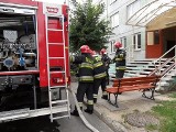 Kraków: pożar w zakładach Teva