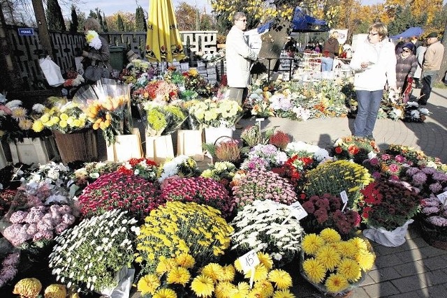 Chryzantemy to główny gatunek kwiatów, które kupujemy na cmentarz