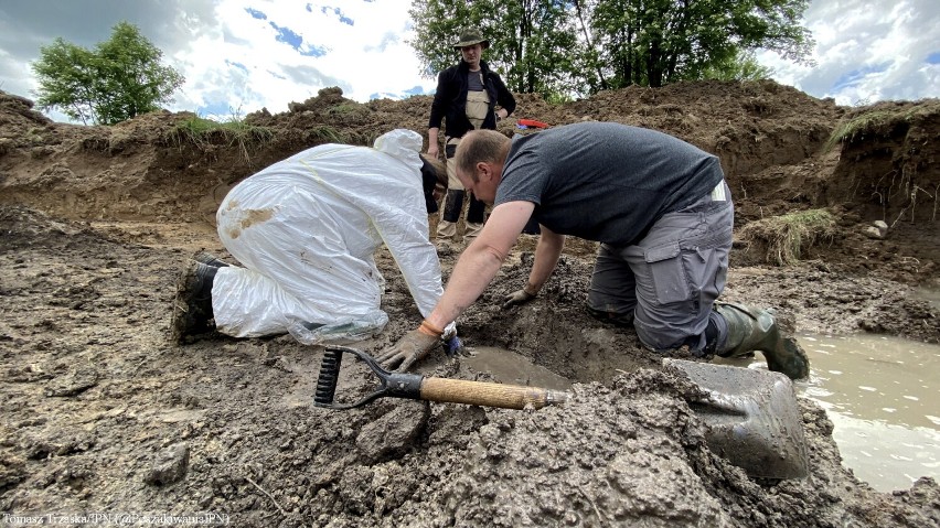 W gminie Wiżajny odnaleziono szczątki ludzkie