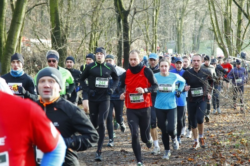 Poznań: Akcja &quot;zBiegiem Natury&quot;. Setki biegaczy nad Rusałką [ZDJĘCIA]