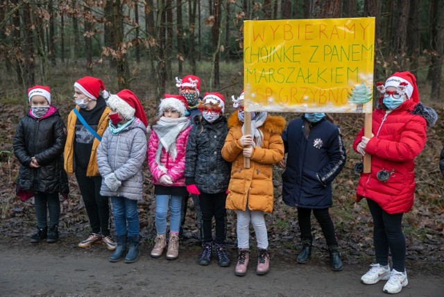 Dzieci z powiatu chełmińskiego pomogły wybrać choinkę, która stanęła  przed Urzędem Marszałkowskim w Toruniu. Drzewko pochodzi z lasu w okolicach Raciniewa w gm. Unisław