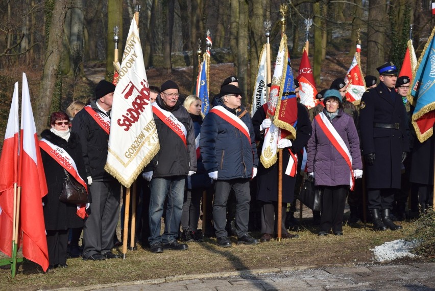 W piątek 9 lutego w parku Siemiradzkiego w Gorzowie...