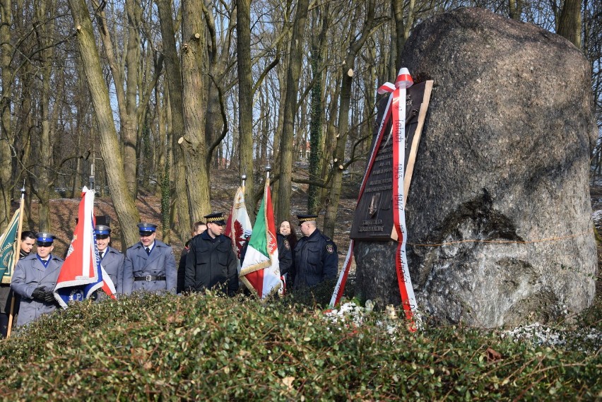 W piątek 9 lutego w parku Siemiradzkiego w Gorzowie...