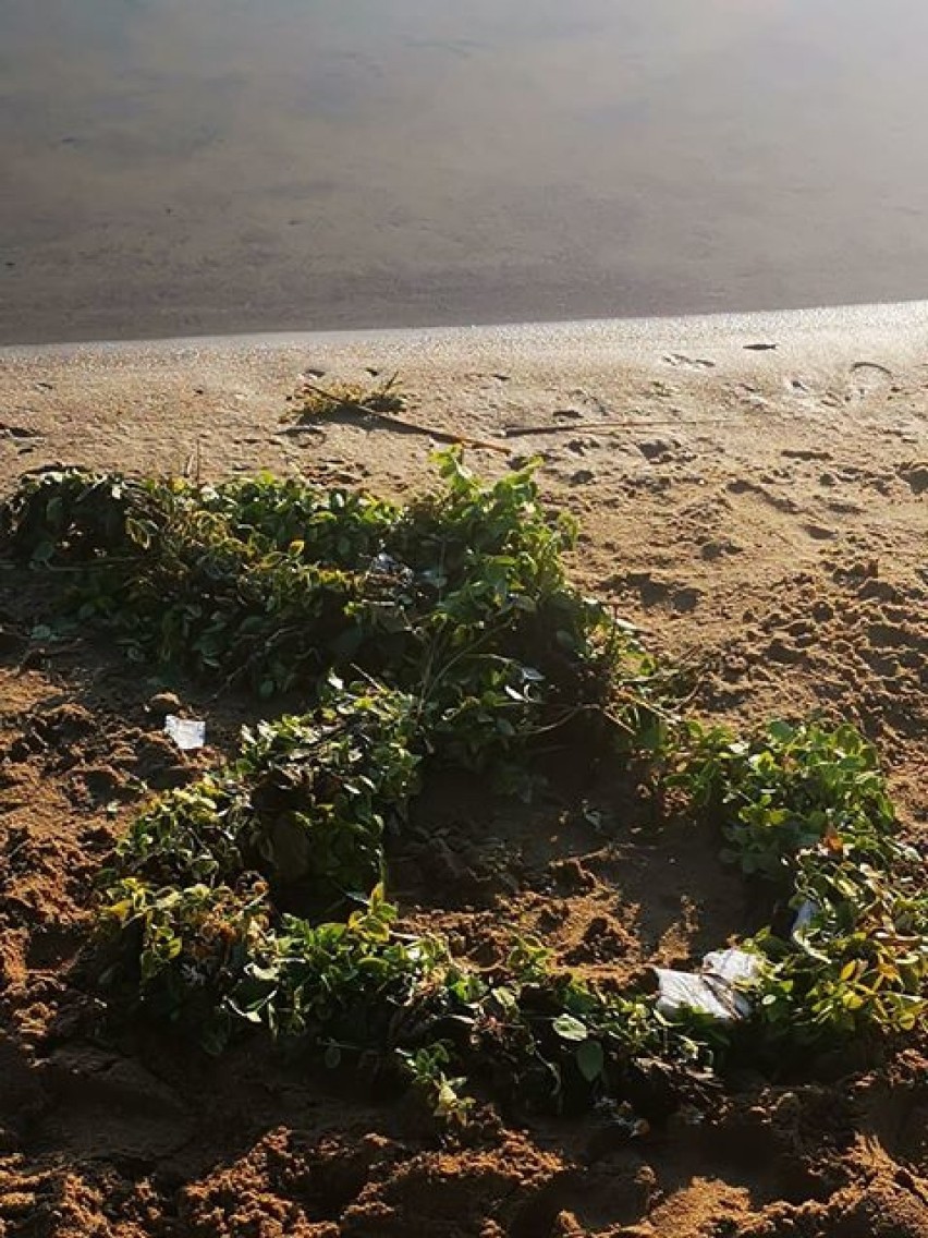 Mieszkaniec skarży się na śmieci i przepełnione kosze w Kobylcu