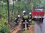 Strażacy usuwają skutki nawałnicy, która przeszła nad Bełchatowem i powiatem