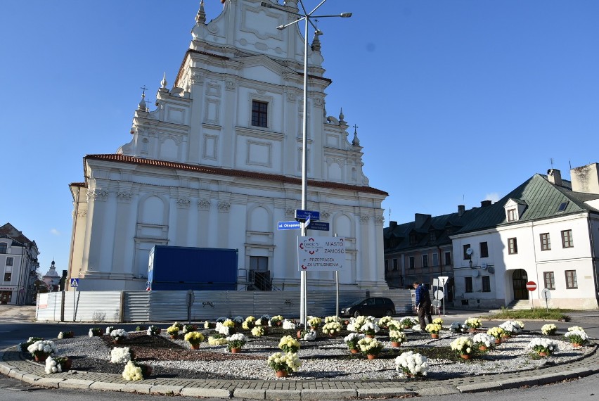 Rondo Braci Pamarańskich: chryzantemy 2020