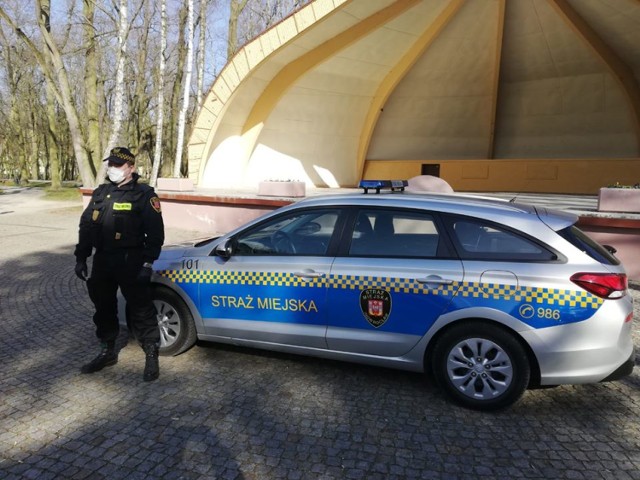 Strażnicy pełnią wspólne patrole z policjantami w rejonie śródmieścia, zwłaszcza na ul. Królowej Jadwigi oraz na Rynku. Funkcjonariusze kontrolują parki i skwery