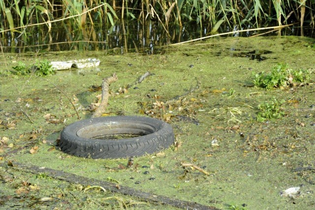 KOŚCIAN. Kanał Obry pełen śmieci. Odpadki zalegają w pobliżu żelaznego mostu kolejowego